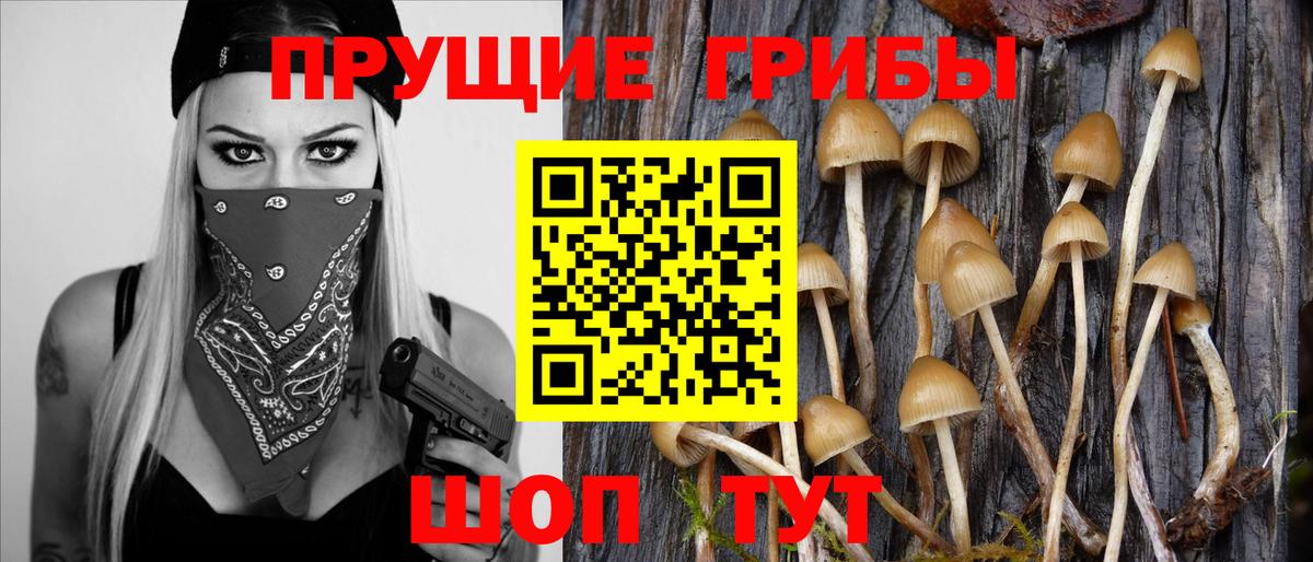 Егорьевск  Галлюциногенные грибы прущие грибы  Галлюциногенные грибы мухоморы  Вход с VPN 