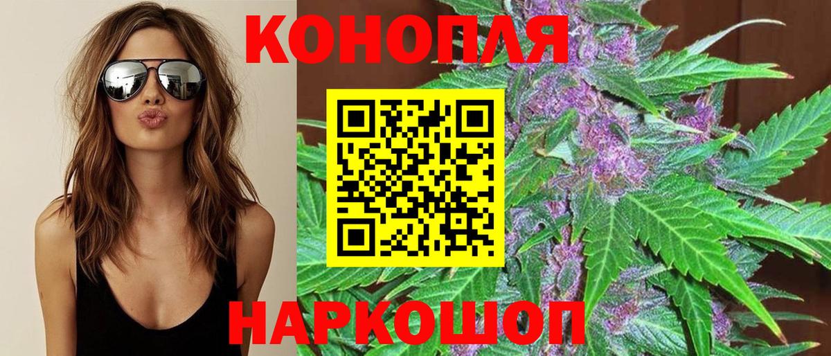 Бошки Шишки конопля  Конопля тримм  МАРИХУАНА план  Егорьевск  Вход с VPN 